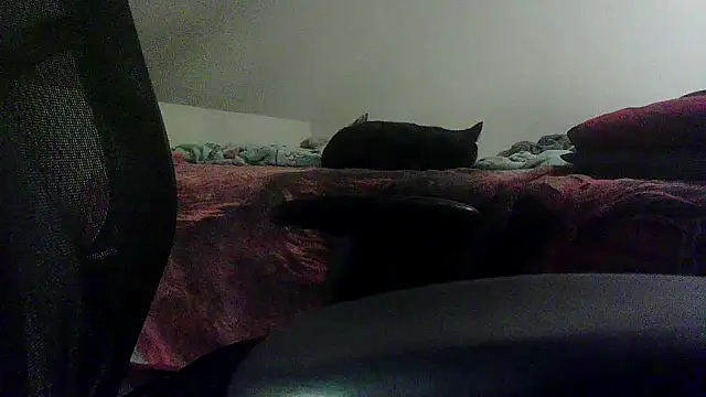 OralDesires2 online show from February 19, 2025, 11:46 pm