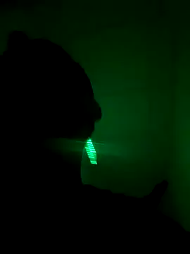 TigerOne19 online show from October 27, 2025, 12:11 am