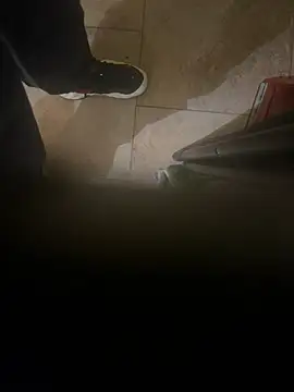 dingoding online show from January 8, 2025, 4:44 am