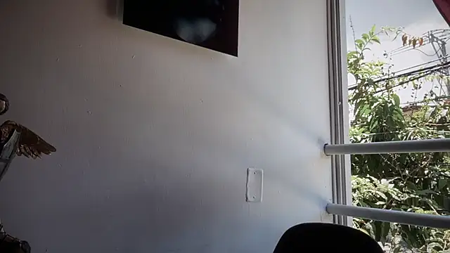 romeolovedark online show from September 15, 2025, 3:56 pm