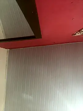 pimenta gaby online show from November 30, 2025, 12:28 pm