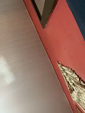 pimenta gaby online show from October 18, 2025, 1:02 pm