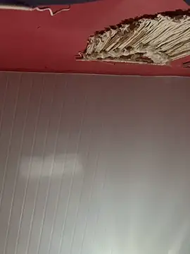 pimenta gaby online show from October 28, 2025, 11:20 am