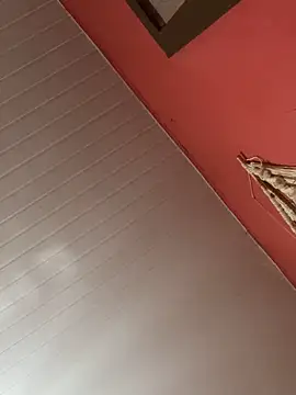 pimenta gaby online show from December 3, 2025, 11:20 am