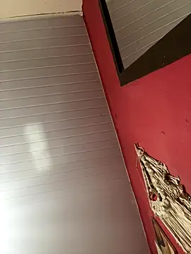 pimenta gaby online show from November 15, 2025, 2:21 pm