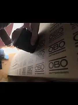 bwcfleshlight online show from April 11, 2026, 10:30 am