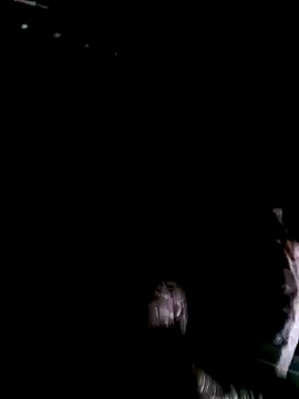 funcock78 online show from October 19, 2025, 7:33 am