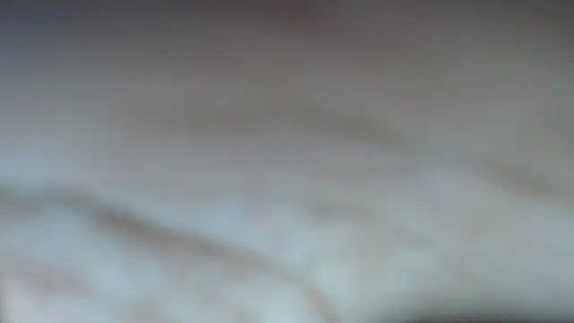 swt shadow online show from February 8, 2026, 7:00 pm