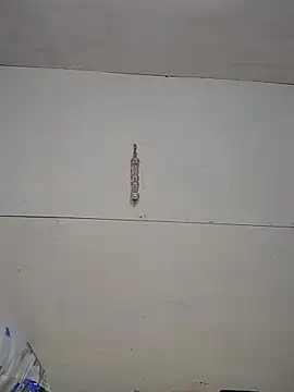 tokyohorny69 online show from February 21, 2025, 12:17 pm