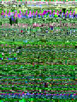 Wolfeman74 online show from July 11, 2026, 6:52 pm
