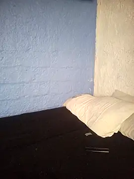 fablob23 online show from January 2, 2025, 7:29 pm