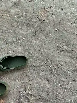 Gopal1243 online show from April 20, 2026, 7:55 am