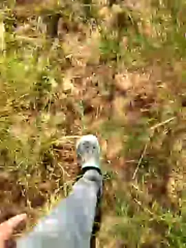 Gopal1243 online show from January 7, 2026, 7:57 am