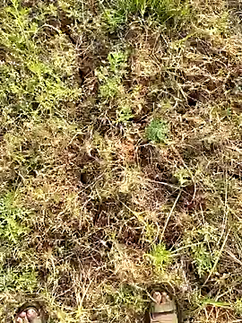 Gopal1243 online show from March 23, 2025, 2:15 am