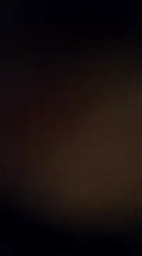 Rajibsorkar20 online show from February 13, 2025, 10:00 pm