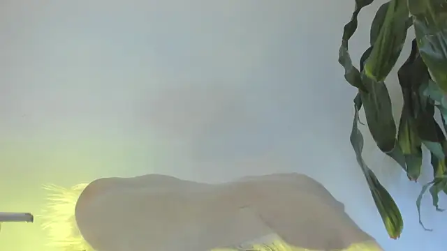 Coral Princex online show from February 22, 2026, 8:17 am