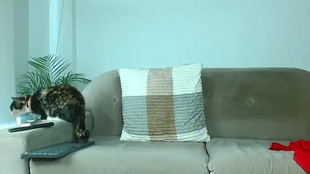 Robyn Miller online show from October 9, 2025, 1:00 pm