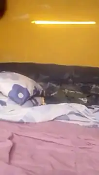 LULE37587001 online show from February 8, 2026, 3:59 am