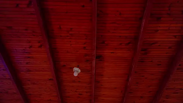 annie barozzi online show from October 18, 2025, 1:24 pm