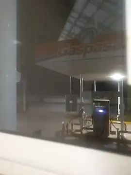 sagrado 1989 online show from February 11, 2026, 2:44 am