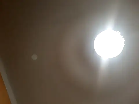 White rabbit  online show from September 10, 2025, 8:52 pm