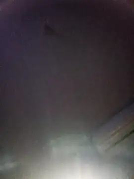 sore-mexico-chiapas online show from March 10, 2026, 12:09 pm