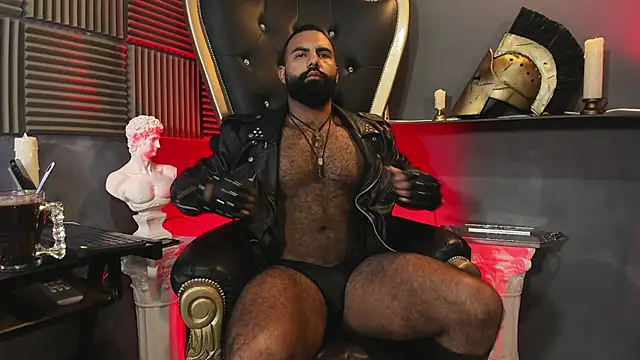 Snapshot of BeardAndrew chatting on January 17, 2026, 5:38 pm BeardAndrew online show from January 17, 2026, 5:38 pm