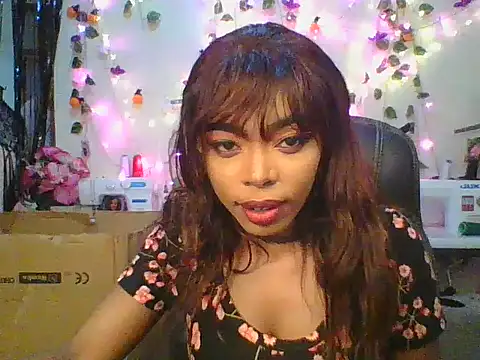 Anaconda2350 online show from November 24, 2025, 11:10 am