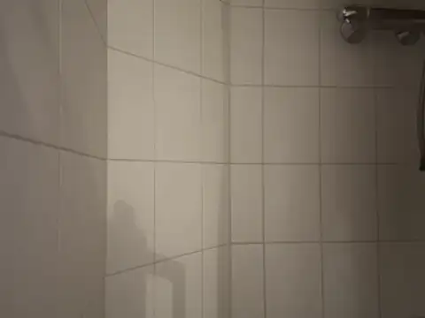 dennisnl93 online show from February 16, 2026, 4:16 pm