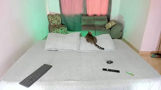 Fairycandyx online show from March 12, 2025, 8:20 pm