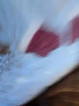 DauerGeilDaddy online show from March 6, 2025, 8:30 am