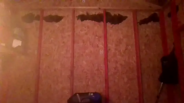 prettyboytatted69 online show from April 9, 2026, 7:03 am