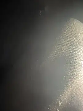 Snapshot of kleinerAlex chatting on March 21, 2025, 5:00 am kleinerAlex online show from March 21, 2025, 5:00 am