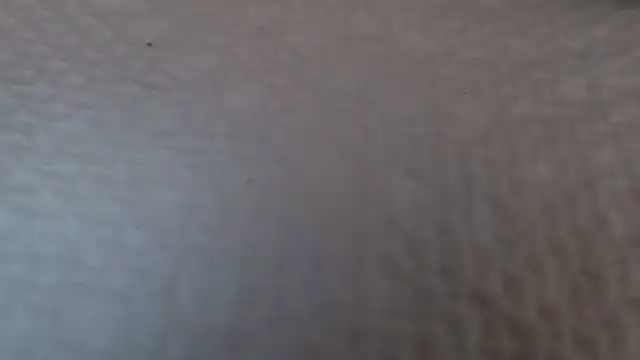 Snapshot of TsSandyx chatting on April 30, 2026, 10:22 am TsSandyx online show from April 30, 2026, 10:22 am