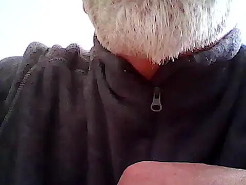 xcimeru online show from March 12, 2025, 2:34 pm