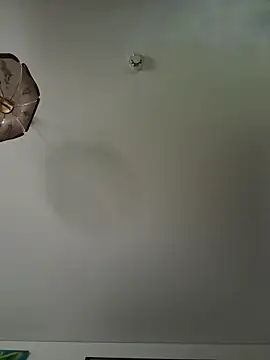 Snapshot of Toyjungee chatting on December 18, 2025, 12:31 pm Toyjungee online show from December 18, 2025, 12:31 pm