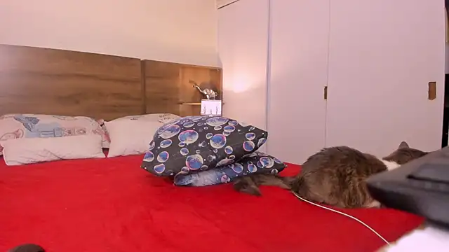 emily adams01 online show from February 27, 2025, 12:46 am