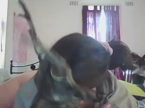 ellieXXXbaby online show from December 14, 2024, 12:55 am