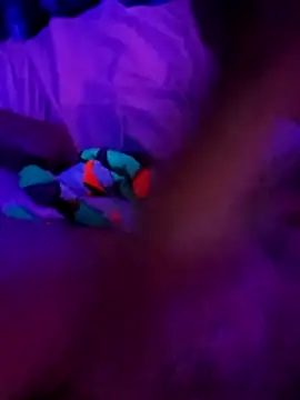 cammyquart online show from November 2, 2025, 10:09 am