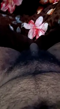 Naughtyforpussy online show from February 1, 2025, 11:27 pm