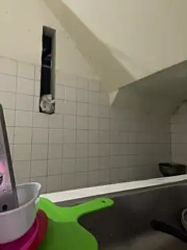 Leticia goddes online show from March 10, 2026, 4:38 am