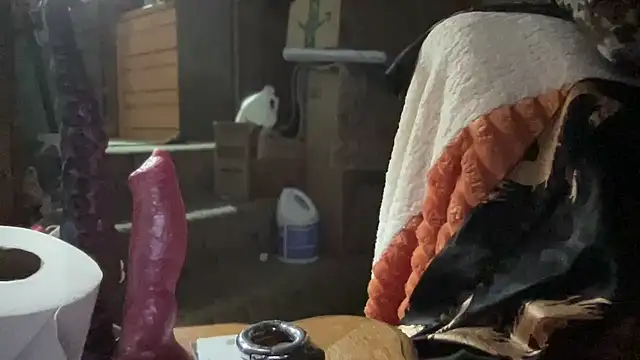 44jon44 online show from November 26, 2025, 3:39 am