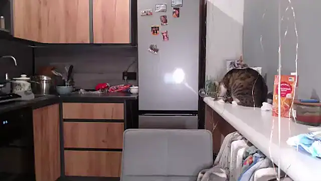 delightful sofi online show from March 27, 2026, 6:20 pm