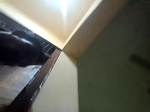 Lent Medium online show from October 15, 2025, 4:26 pm