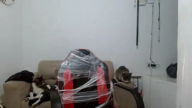 angelamarie1 online show from September 29, 2025, 11:05 am