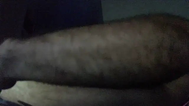 crazyslapper online show from February 4, 2026, 10:54 am