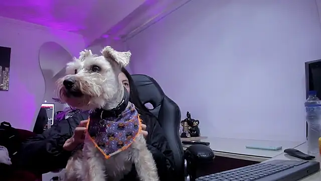 Snapshot of Meghan320 chatting on November 15, 2025, 11:36 am Meghan320 online show from November 15, 2025, 11:36 am