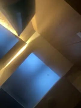 Snapshot of CeliWoods chatting on February 6, 2026, 11:17 am CeliWoods online show from February 6, 2026, 11:17 am