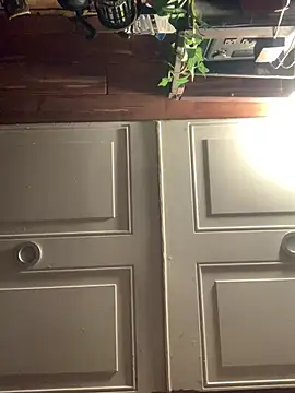 Likewise online show from February 3, 2026, 1:38 pm