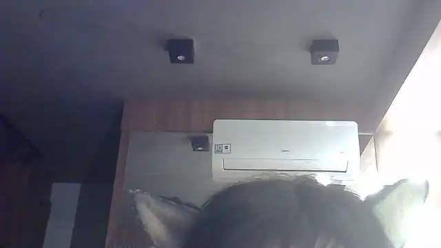 Snapshot of Skinny-Kitten chatting on May 31, 2026, 11:16 am Skinny-Kitten online show from May 31, 2026, 11:16 am